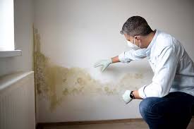 Best Crawl Space Mold Remediation  in Lock Haven, PA